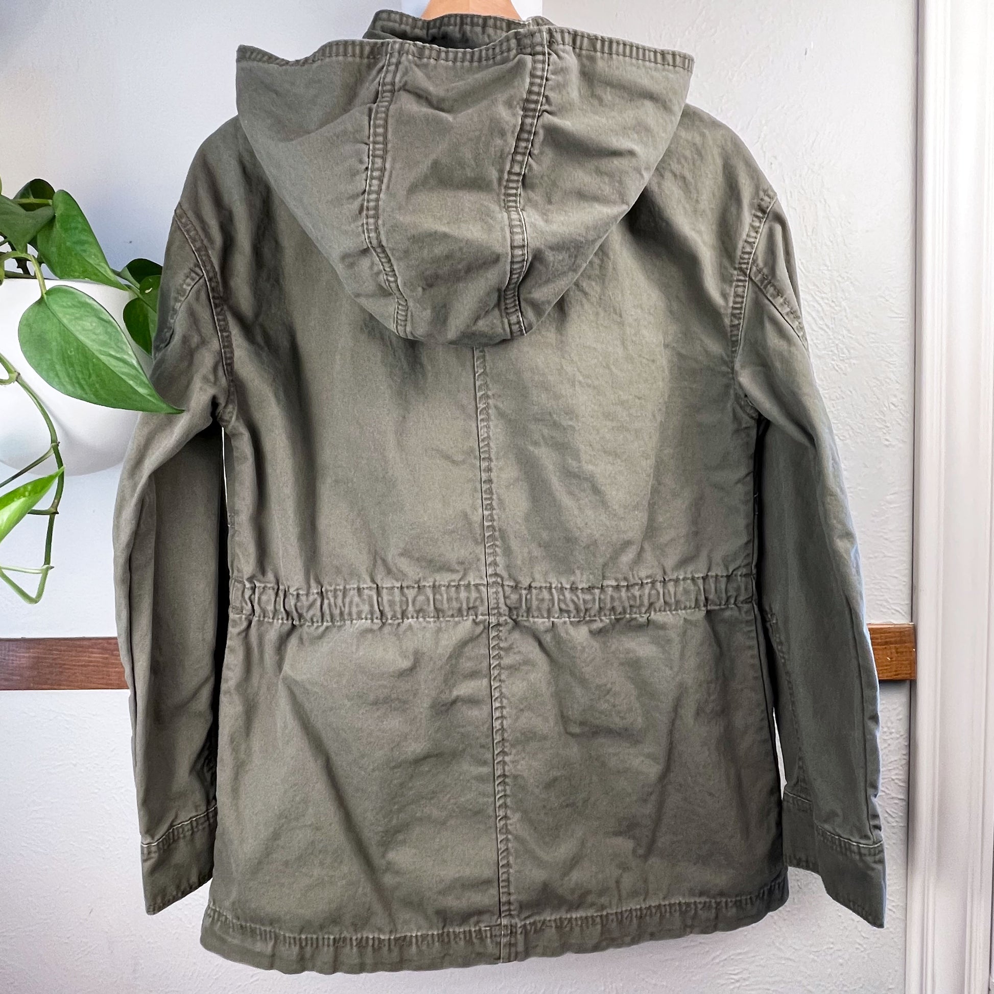 back view of a military green cotton parka with many pockets and a hood hanging on a hanger on a wall next to a pothos plant