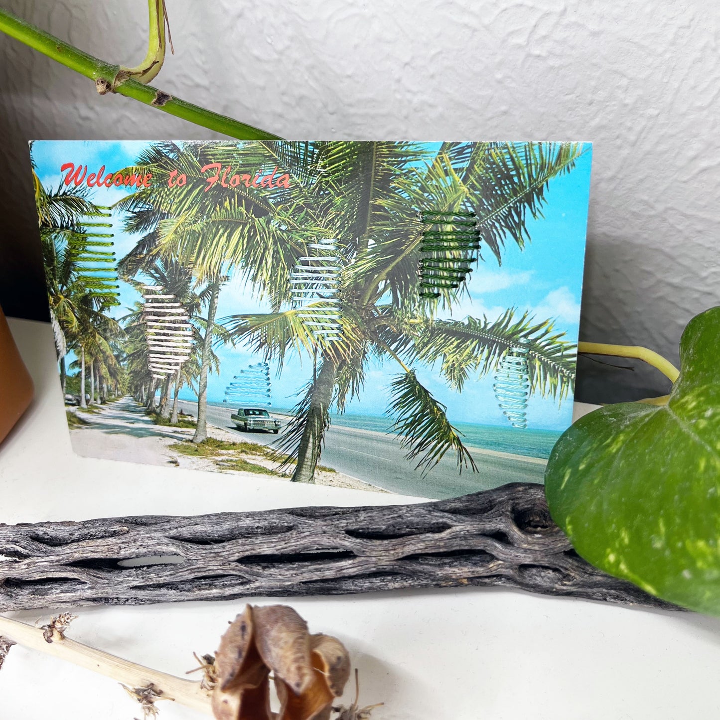 an old postcard of a Florida beach, with hand embroidered half circles randomly placed in greens blues and peaches, it is sitting on a dresser with a plant vine behind it and sticks in front of it