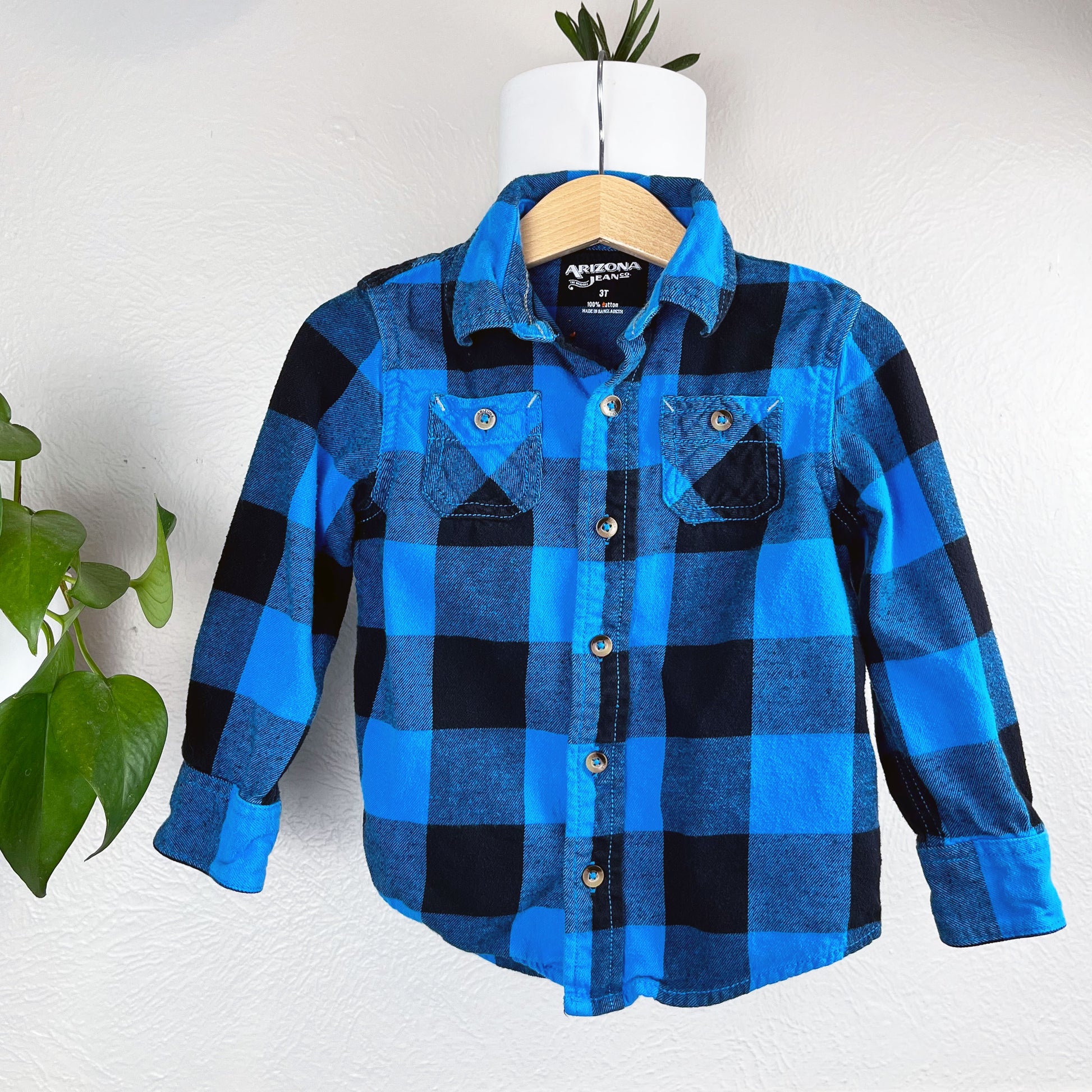 front view of a blue and black plaid flannel hanging on a wall next to a pothos plant 