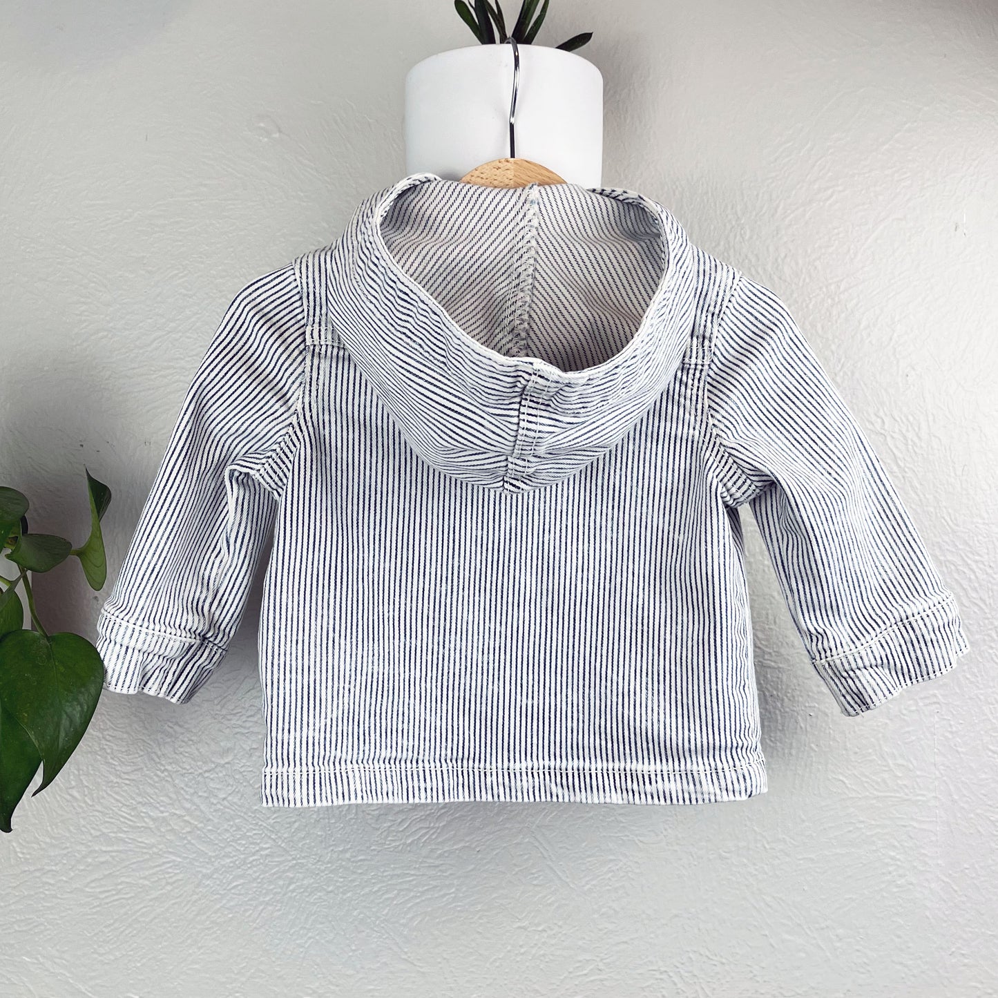 back view of a railroad stripe hooded pullover, hanging on a wall next to a pothos plant